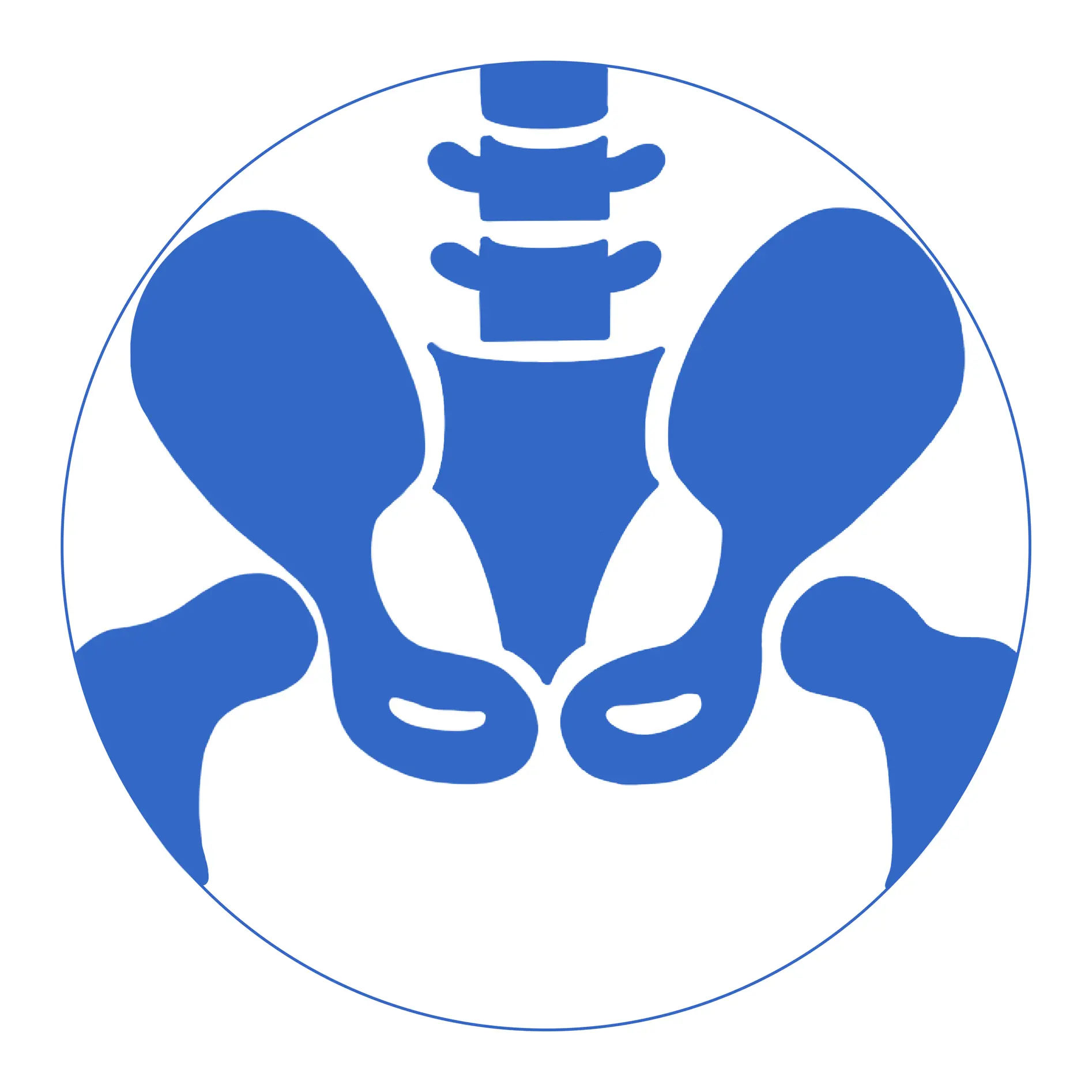 hip system.png